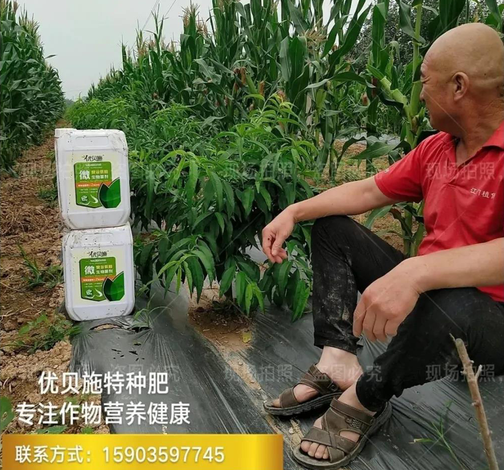 【48812】水溶肥十大品牌之一烟台众德集团参展9月农资展